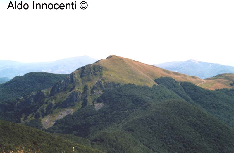 VETTA DEL MONTE GIOVARELLO